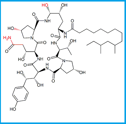CASPOFUNGIN PNEUMOCANDIN C0 IMPURITY